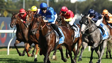 randwick guineas field|Randwick Guineas 2025 .